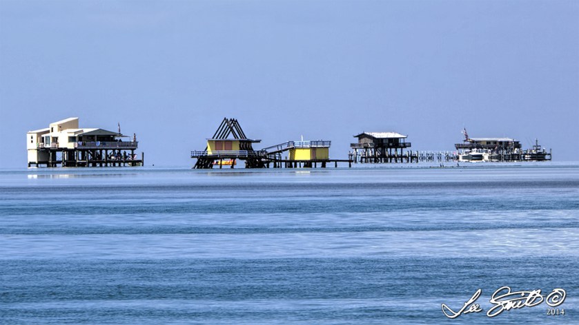 IMG_8779_80_81-cropped